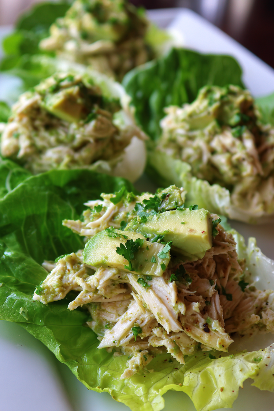 low-carb avocado chicken salad scoops